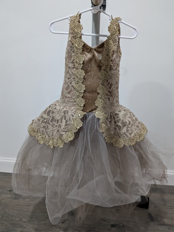 Taupe and Gold Lace Ballet Tutu Costume