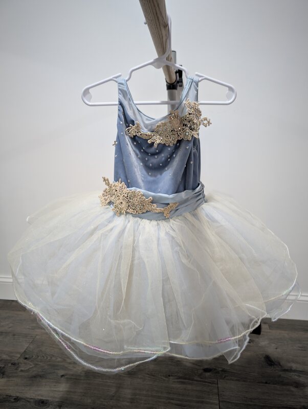 Weissman Blue and Ivory Ballet Tutu, Child Small